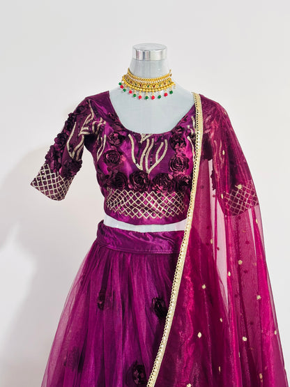 Royal Plum Embroidered Lehenga Set with Net Dupatta